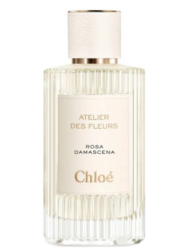 chloe perfume rosa damascena